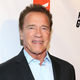 Illustration for article titled Terminator 6 is apparently shooting already